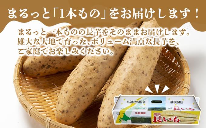 北海道 農園直送 長芋 5kg 北海道産 長いも 芋 ながいも とろろ 一本もの 新鮮 フレッシュ 伊達野菜 野菜 農作物 産直 山芋 麦とろ 山かけ サラダ ステーキ おつまみ おかず 贈答用 ギフト 化粧箱入り 送料無料
