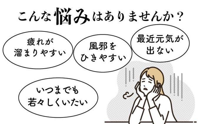 黒 にんにく 500g 北海道 伊達 熟成 自然食品 500g(1パック)