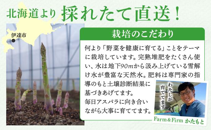 【2026年先行予約】太くてあまーい 北海道産 春芽 アスパラ (約1kg／LL中心＋3L・L混合) 先行予約 新鮮 採れたて直送 旬 野菜 あすぱら 農家直送 北海道 1kg