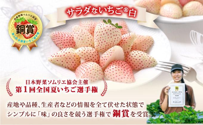 ＜2026年先行予約＞ サラダないちご（白）ご褒美 苺 最旬 贈答 ギフト プレゼント 果物 フルーツ イチゴ 北海道 伊達【ecg-001】 白