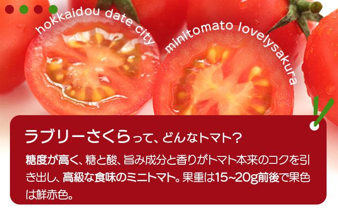 【 2026年発送 】先行予約 北海道 伊達市 ミニトマト ラブリーさくら 3kg 【オンライン決済限定】55250961