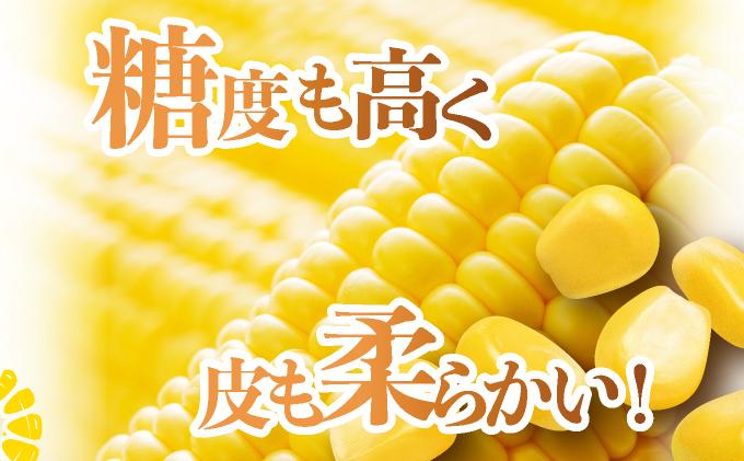 ＜2026年先行予約＞北海道産 朝もぎ とうもろこし 恵味 L-LLサイズ 約400g×15本 スイートコーン ゴールドコーン トウモロコシ とうきび コーン 旬 完熟 野菜 甘い おやつ 産地直送 お取り寄せ 北海道 送料無料 伊達 55250481