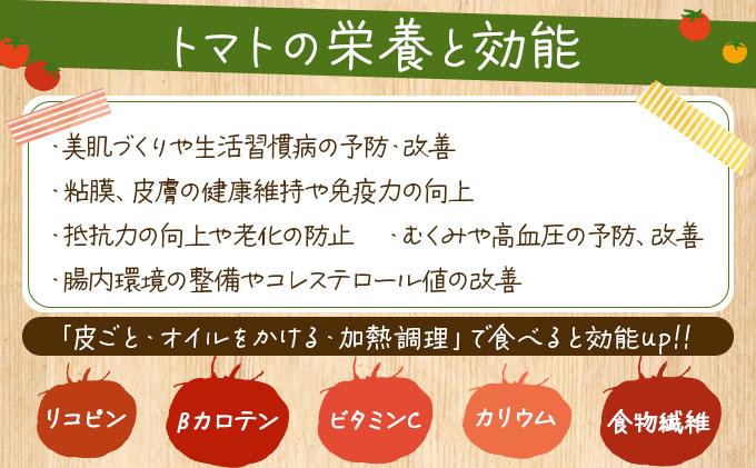 ◆2026年7月から順次出荷◆ farmユメソラ 大玉 トマト 約4kg【famy-001】