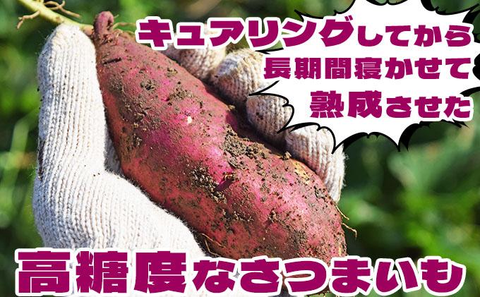 《高糖度》さつまいも 紅はるか 10kg 【産地直送】熟成 高糖度 サツマイモ 芋 甘い スイートヤバ芋 産地直送 北海道 伊達市 10kg