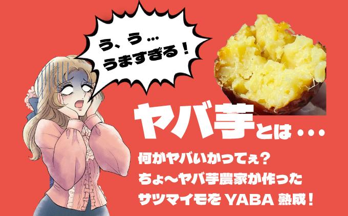 【2026年3月以降配送】焼き芋 冷凍ヤバ芋（紅はるか）500g×2 計1kg 500g×2 計1kg/紅はるか