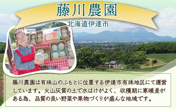 ＜2026年先行予約＞北海道産 有珠メロン 3玉 セット Lサイズ 1.6kg以上 赤肉×1 青肉×2 計3玉 食べ比べ ツル付き 果物 めろん フルーツ くだもの 完熟 旬 ご褒美 ギフト 産地直送 お取り寄せ 北海道 藤川農園 送料無料 伊達 55250478