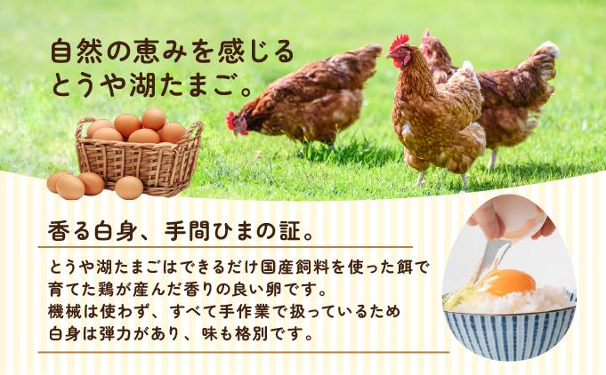 【6ヵ月 定期便】 北海道 伊達市 とうや湖 卵  40個 入り たまご 40個　6ヵ月 定期便