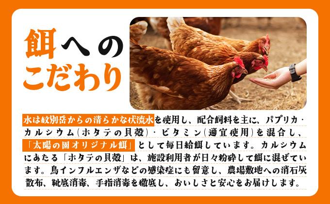 北海道 たまごの心 40個 Lサイズ 太陽の園 平飼たまご 有精卵 たまご 卵 生たまご 鶏卵 北海道産 鶏の卵 ポリスブラウン 食材 卵かけごはん TKG オムレツ オムライス タンパク質 ゆで卵 よく使う食材 万能食材 【農福連携】【tys-001】