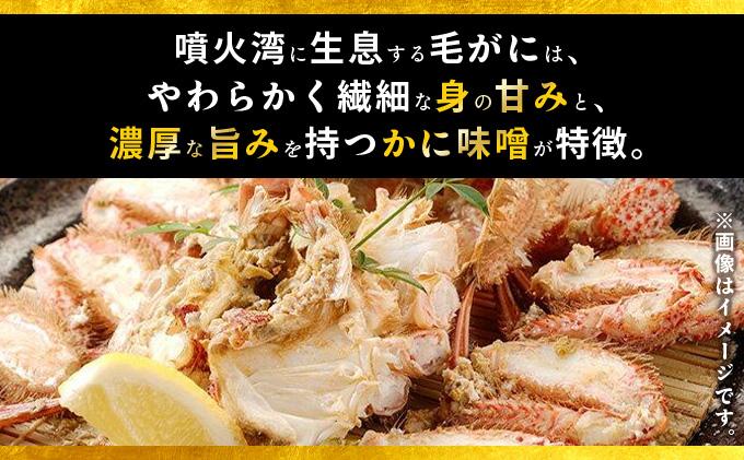 北海道 噴火湾産 冷凍 ボイル 毛がに 約300g×2尾 約300g×2尾