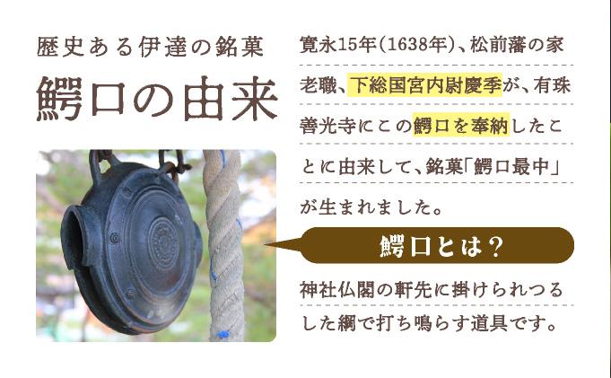 伊達銘菓 有珠善光寺  鰐口最中 10個セット