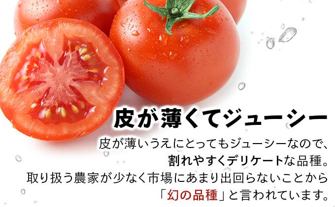 【2026年先行予約】北海道産 ミニトマト ネネ 約3kg フルーツトマト プチトマト 甘い 濃厚 彩り 鮮やか 希少 お中元 お歳暮 暑中見舞い 帰省土産 ご自宅用 産地直送 大滝農園 送料無料 北海道［55250524］ 約3kg