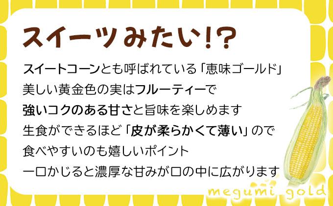 【 2026年先行予約】北海道 朝もぎ とうもろこし 恵味 ゴールド L-LLサイズ 20本 スイート コーン トウモロコシ とうきび 旬 完熟 野菜 採れたて 朝採り 甘い めぐみ 産地直送 道産 送料無料[55250829] 20本