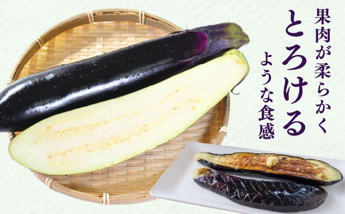 ＜先行予約＞北海道伊達産 長ナス 3kg 詰め [2026年発送]【ogr-001】