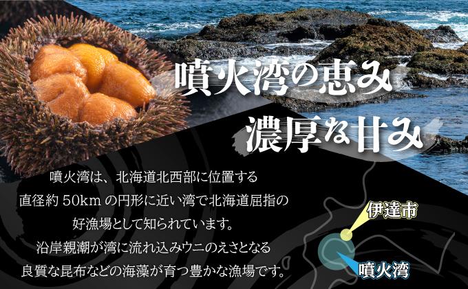 【定期便2カ月】北海道 噴火湾産 塩水 バフンウニ 100g 1パック うに ウニ 雲丹 海鮮 海の幸 魚介類 ウニ丼 お寿司 濃厚 無添加 産地直送 産直 お取り寄せ 山村水産 送料無料 【定期便2カ月】100g×2回