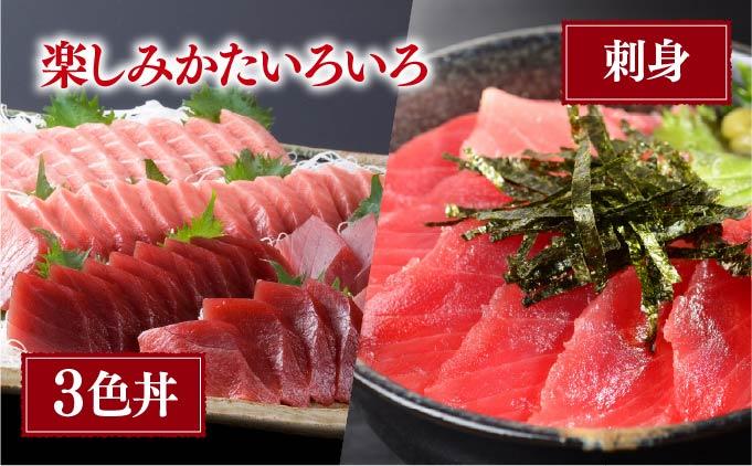 本マグロ（大トロ・中トロ・赤身）訳ありセット 1kg【ogm-025】 1kg