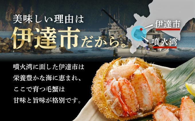 毛ガニ（姿身）Mサイズ 2尾 ogm-016 Mサイズ 2尾