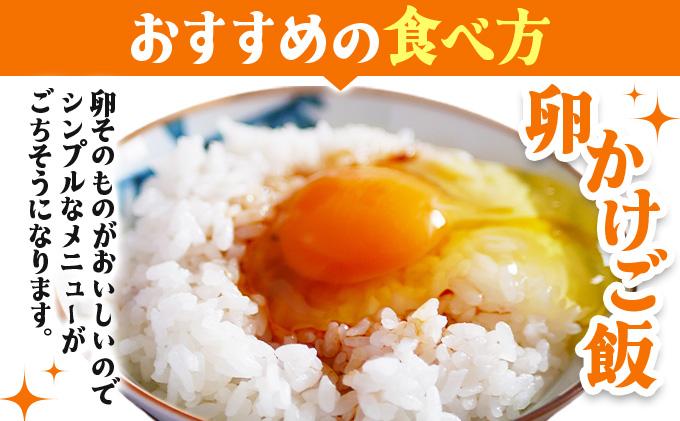 北海道産 6ヵ月連続お届け   たまごの心 40個 Lサイズ   太陽の園  の平飼たまご  有精卵 北海道 伊達市 たまご 卵 生たまご 鶏卵  鶏の卵 ポリスブラウン 食材 卵かけごはん TKG オムレツ オムライス 【農福連携】【tys-003】