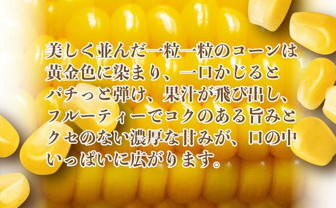 ＜2026年先行予約＞北海道産 朝もぎ とうもろこし 恵味 L-LLサイズ 約400g×20本 スイートコーン ゴールドコーン トウモロコシ とうきび コーン 旬 完熟 野菜 甘い おやつ 産地直送 お取り寄せ 北海道 送料無料 伊達 55250482
