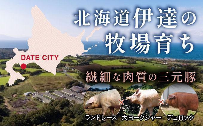 ＜4月発送＞＜黄金豚＞ブランドポーク 北海道 豚ひき肉 あら挽き 200g 10パック 計2kg | 伊達産 黄金豚 三元豚 ミンチ 挽肉 お肉 小分け ハンバーグ 餃子 カレー 大矢 オオヤミート 冷凍 送料無料 55257040-2604 ＜4月発送＞あら挽き(2kg)