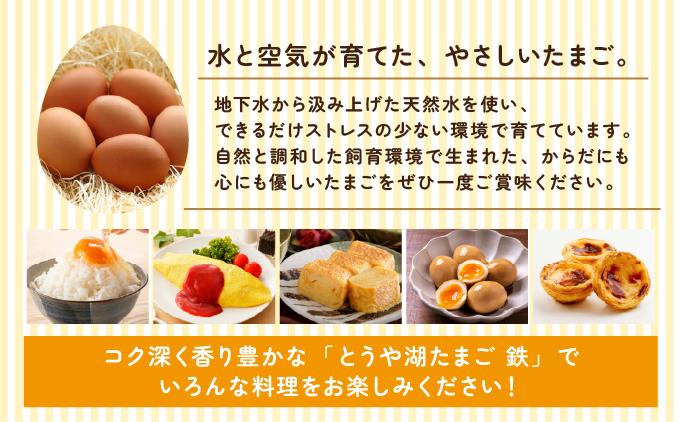 北海道 伊達市 とうや湖 卵 鉄  40個 入り たまご 40個　通常配送