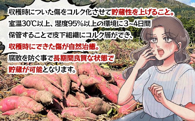 北海道 伊達 さつまいも シルクスイート 10kg 熟成 高糖度 サツマイモ 芋 甘い スイートヤバ芋 産地直送