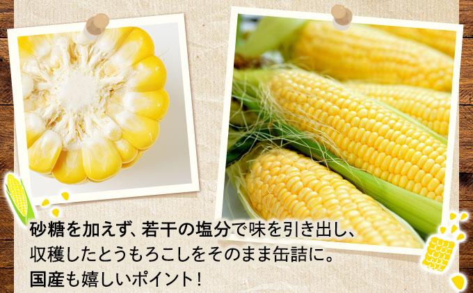 北海道 自然甘 ホールコーン 7号 230g×48缶 スイートコーン コーン とうもろこし とうきび トウモロコシ 缶詰 国産 甘い 長期保存 備蓄 常温 クレードル 送料無料 48缶