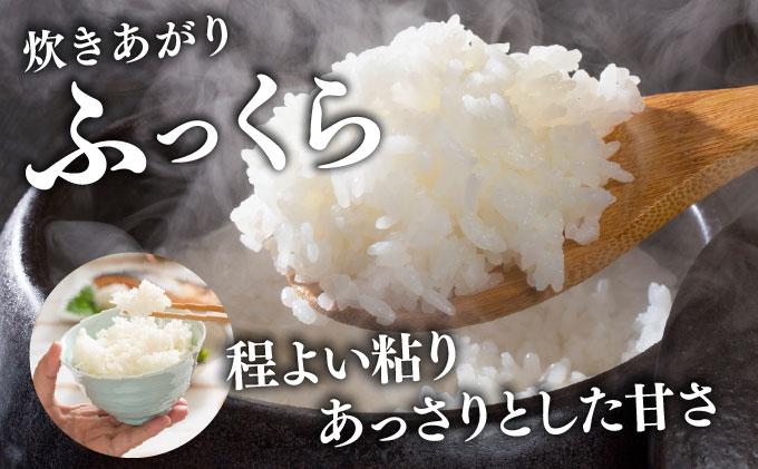 令和7年産 北海道 ななつぼし 10kg【khn-004】 精米 特A 白米 お米 米 道産米 ブランド米 ご飯 もちもち 産地直送 農園直送 人気 お取り寄せ 贈り物 備蓄 栗橋農園 送料無料 精米 10kg