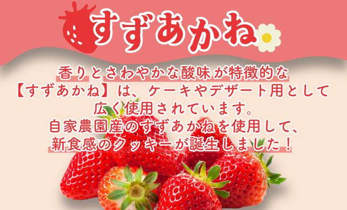 北海道産 ストロベリー ショコラ クッキー 40個 森のおくりもの 菓子 焼菓子 クッキー 苺 ストロベリー すずあかね お菓子 おやつ スイーツ デザート 規格外 常温 送料無料