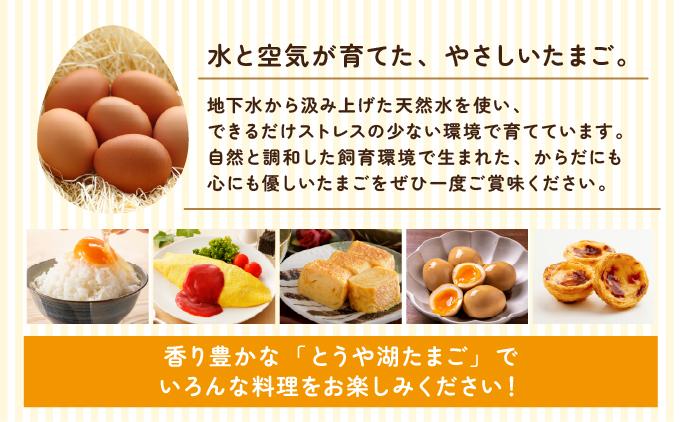 【6ヵ月 定期便】 北海道 伊達市 とうや湖 卵  40個 入り たまご 40個　6ヵ月 定期便