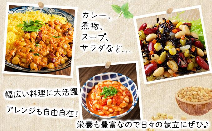 [5525-1207]なまら推し大豆 12缶 大豆のドライパック 缶 北海道産 苫小牧 広域 缶詰 長期保存可 常温 非常食