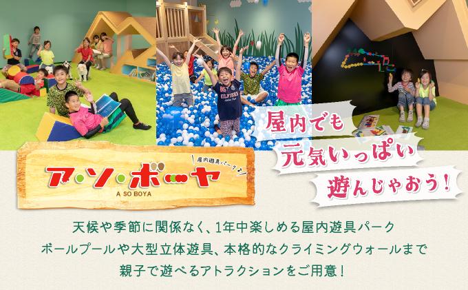 北海道  きたゆざわ 森のソラニワ ペア 宿泊券 アスレチック アクティビティ 温泉 露天風呂 サウナ 癒し 旅行 リゾート ホテル 旅館 宿泊 観光 プール ファミリー 家族連れ 子連れ 家族 子供  友人 友達 北湯沢