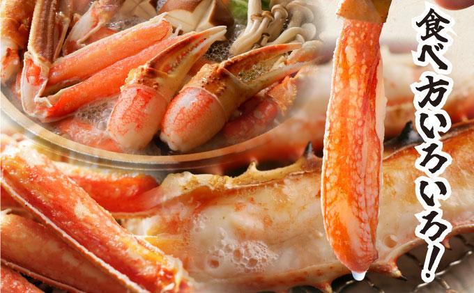 オオズワイ姿（訳あり品）2kg｜かに カニ ズワイガニ オオズワイ【ysk-008】 2kg