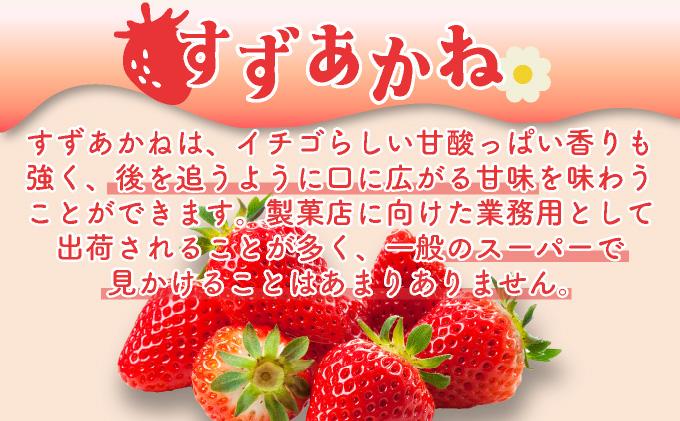 北海道産 ストロベリー ミルク プリン 10個 森のおくりもの プリン いちご イチゴ 苺 ストロベリー 牧家 Bocca だて牛乳 ミルク 牛乳 すずあかね お菓子 おやつ スイーツ デザート いちごみるく 規格外 常温 送料無料 10個入り
