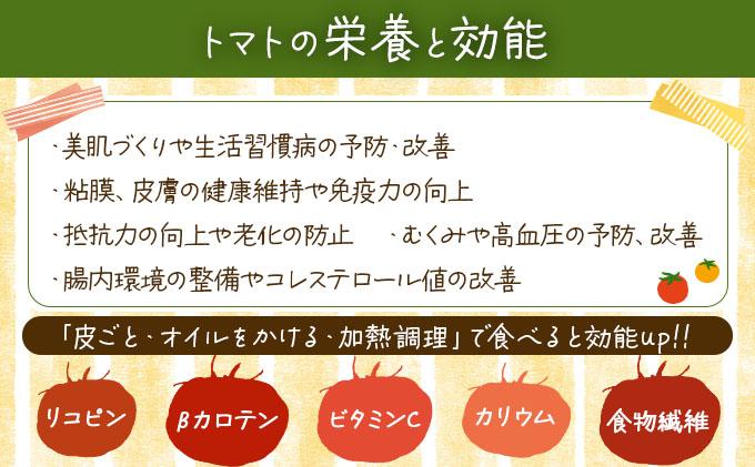 ◆2026年7月から順次出荷◆ farmユメソラ 大玉トマト＆玉ねぎセット 約5kg [famy-003]
