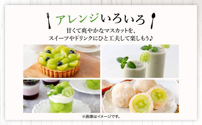 ＜先行予約＞シャインマスカット 2房（1kg以上）化粧箱入り 2房(1kg以上)