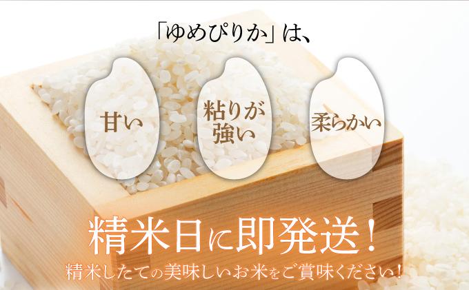 令和7年産 《9月20日発送開始》ゆめぴりか精米 10kg 生産者直送 北海道伊達産 | 北海道のブランド米 もっちり食感 冷めても美味しい　tkk-003_03 10kg