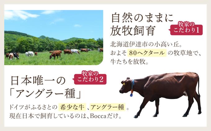 北海道 牧家 Bocca プロボローネ チーズ 3個 セットナチュラルチーズ 乳製品