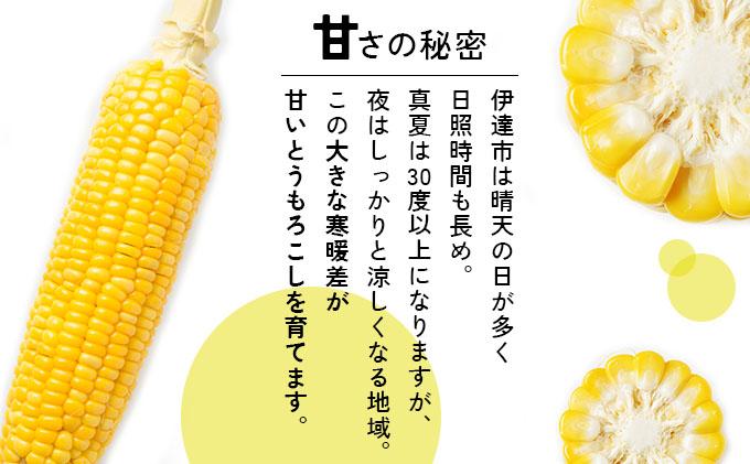 ＜先行予約＞【2026年発送】北海道産 とうもろこし 味来 L～LLサイズ 20本入り【55250823】トウモロコシ みらい ミライ とうきび スイート イエロー コーン 旬 新鮮 朝もぎ 農作物 甘い お取り寄せ 産地直送 送料無料