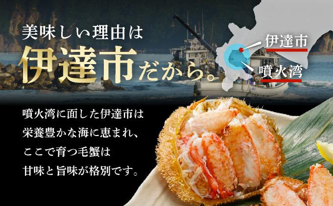 毛ガニ（姿身）Sサイズ 1尾 ogm-013 Sサイズ 1尾