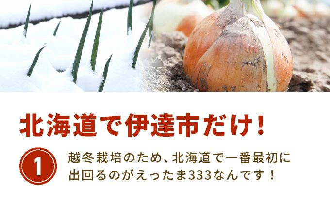 ※業務用※ 伊達産【えったま333】の炒め玉ねぎ ソテードオニオン 1kg×2袋（冷凍）