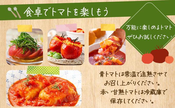 ◆2026年7月から順次出荷◆ farmユメソラ 大玉 トマト 約4kg【famy-001】