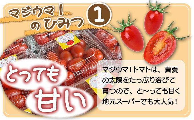 【2026年先行予約】北海道 伊達 岡本園芸 ミニトマト 高糖度 約2kg【マジウマ！トマト】 2kg
