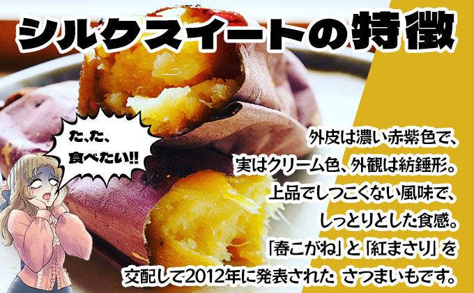 伊達の畑から そのまんま シルクスイート 厚切りさつまいもフライ ２パックセット【upd-001】 ２パック