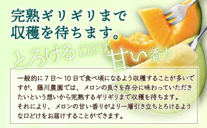 ＜2026年先行予約＞北海道産 有珠メロン 青肉 4～5玉 計約8kg ツル付き グリーンメロン 果物 めろん フルーツ くだもの 完熟 旬 ご褒美 ギフト お祝い 贈り物 お中元 産地直送 お取り寄せ 北海道 藤川農園 送料無料 伊達 55250479