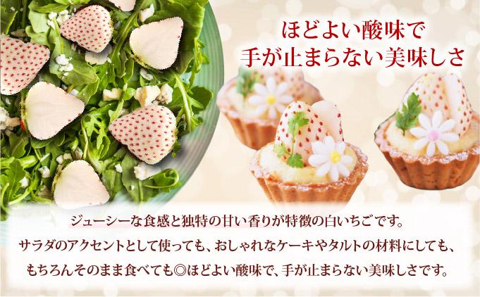 ＜2026年先行予約＞ サラダないちご（赤）ご褒美 苺 最旬 贈答 ギフト プレゼント 果物 フルーツ イチゴ 北海道 伊達【ecg-002】 赤