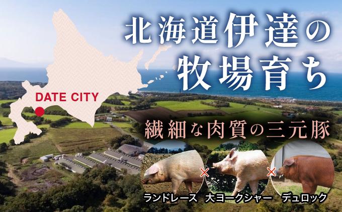 北海道 伊達 黄金豚 ほるもん 3種 セット 各250g×1パック（計750g） 焼肉 BBQ お花見 キャンプ お肉 豚肉 真空 ホルモン