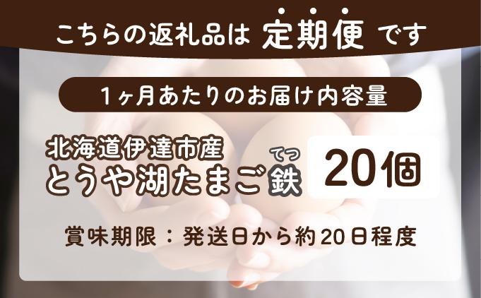 【3ヵ月 定期便】 北海道 伊達市 とうや湖 卵 鉄  20個 入り たまご 20個　3ヵ月 定期便