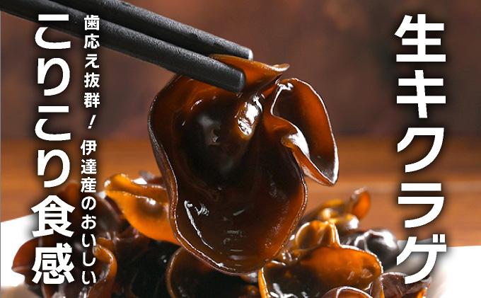 湘南しいたけ 生 きくらげ 500g きくらげ 木耳 キクラゲ 生 ぷりぷり プリプリ こりこり コリコリ 栄養 ヘルシー ダイエット 中華  アレンジ スープ サラダ 新鮮 きのこ キノコ 弾力【農福連携】