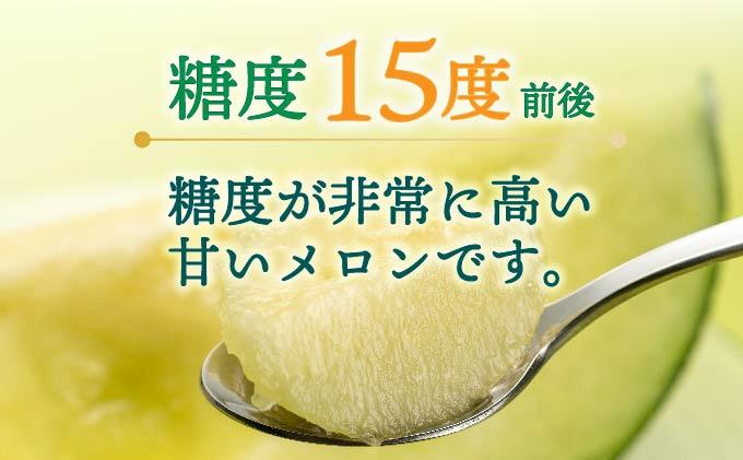 ＜2026年先行予約＞北海道産 有珠メロン 青肉 4～5玉 計約8kg ツル付き グリーンメロン 果物 めろん フルーツ くだもの 完熟 旬 ご褒美 ギフト お祝い 贈り物 お中元 産地直送 お取り寄せ 北海道 藤川農園 送料無料 伊達 55250479