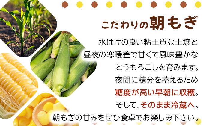 【 2026年先行予約】北海道 朝もぎ とうもろこし 恵味 ゴールド L-LLサイズ 20本 スイート コーン トウモロコシ とうきび 旬 完熟 野菜 採れたて 朝採り 甘い めぐみ 産地直送 道産 送料無料[55250829] 20本